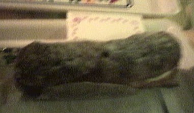 050917-1.jpg